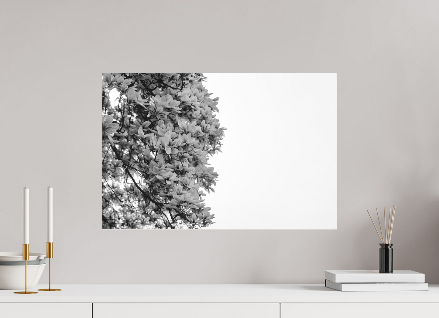 Blooming Magnolia