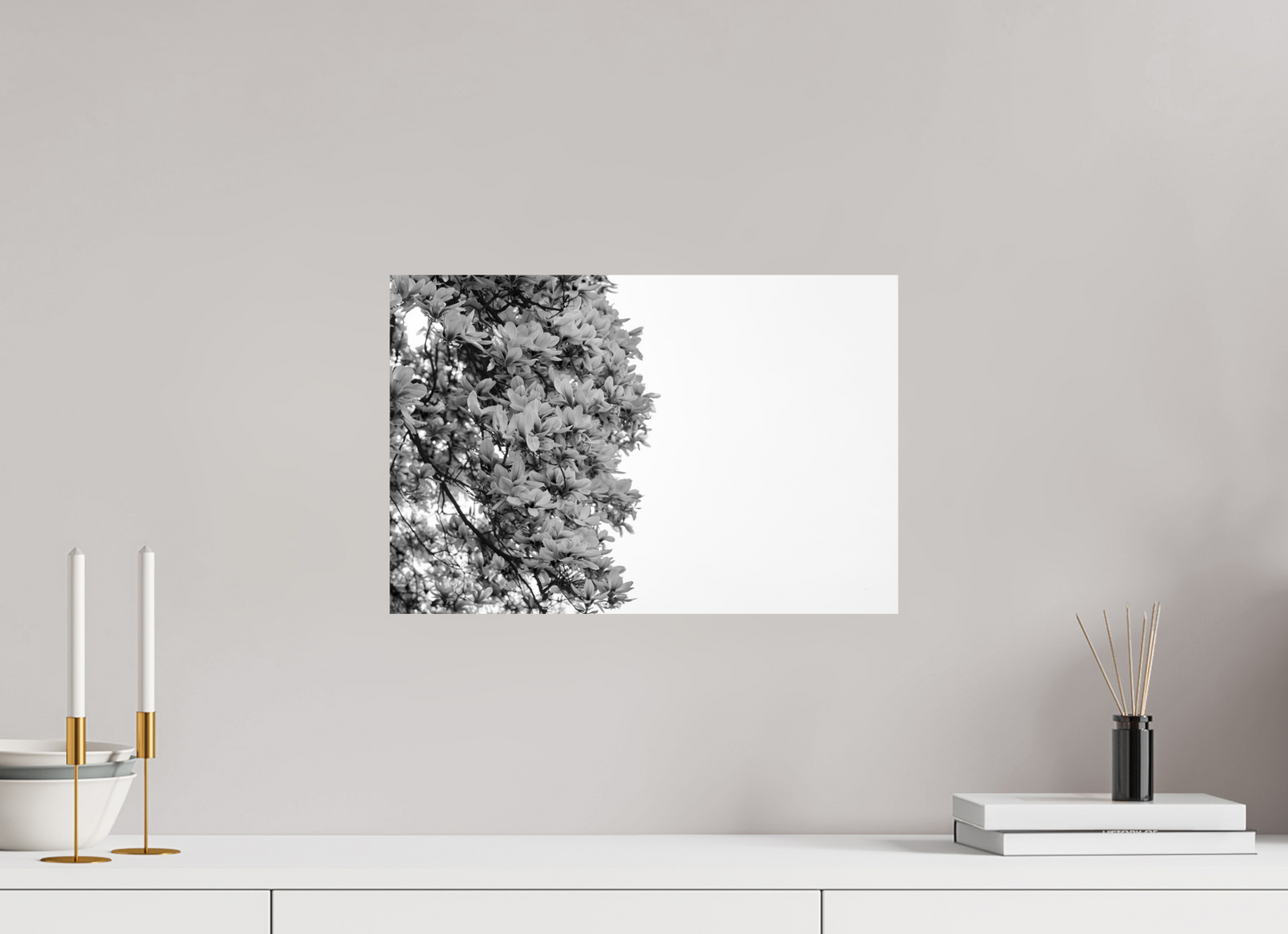 Blooming Magnolia