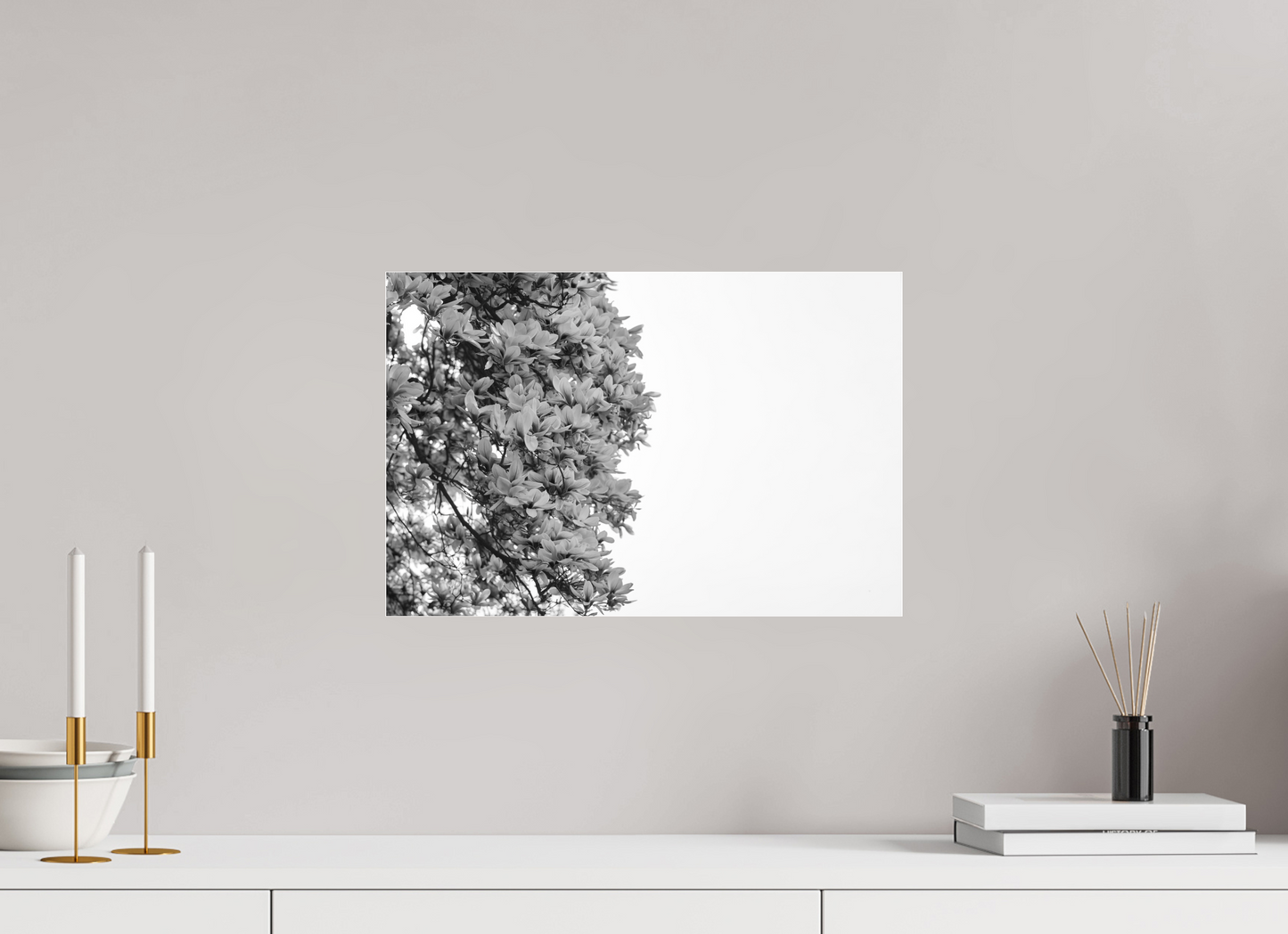 Blooming Magnolia