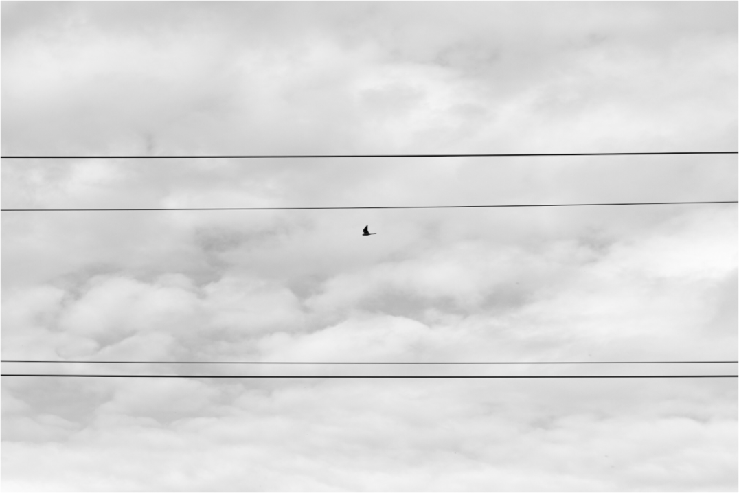 Weightless